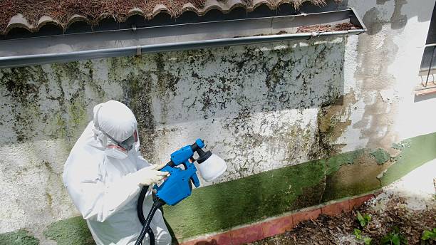 Top rated local Mold Remediation specialists in North, VA